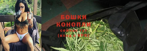 apvp Володарск