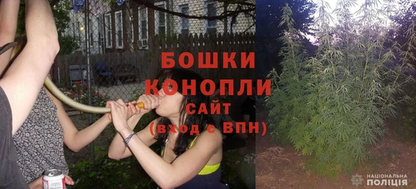 метадон Богданович
